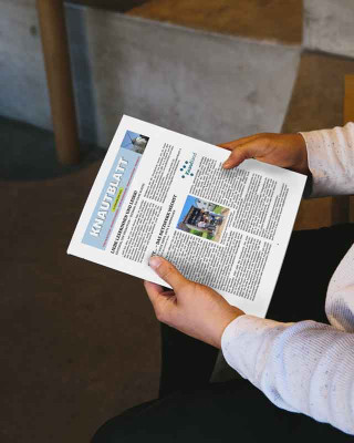 knautblatt in händen gehalten