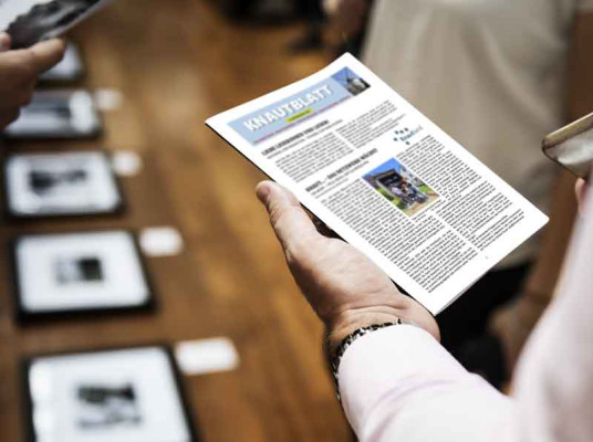 Das Knautblatt in der Hand