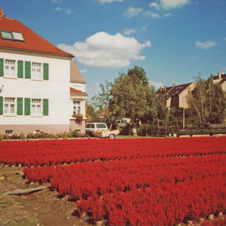 Hartmannsdorf