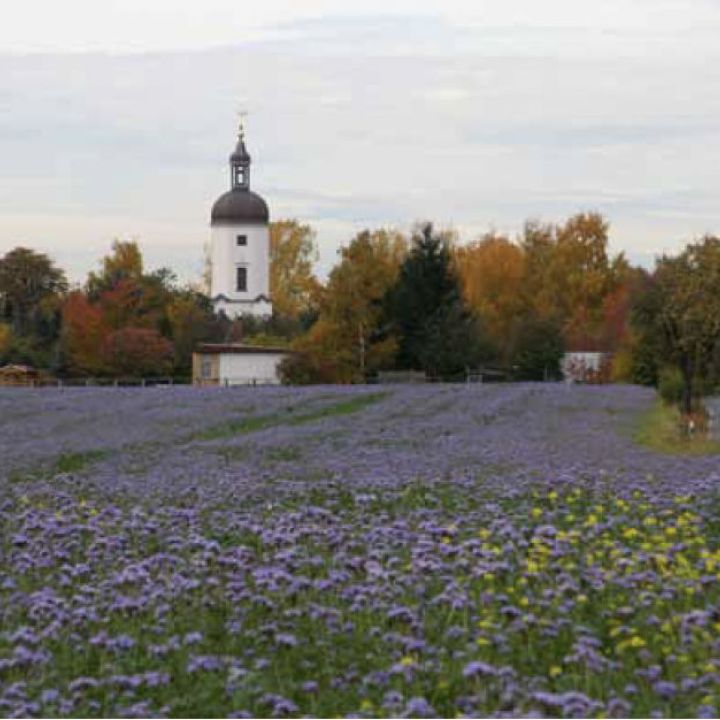 Rehbach